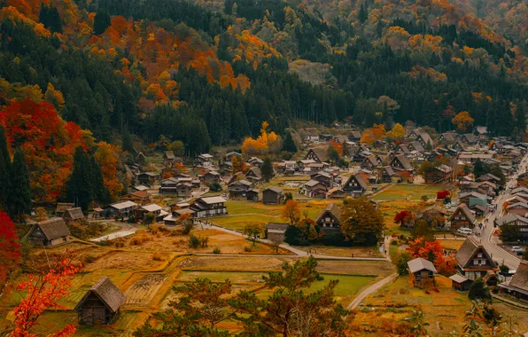 Осень, лес, деревья, домики, Japan, Shirakawago, Marcel Bisig