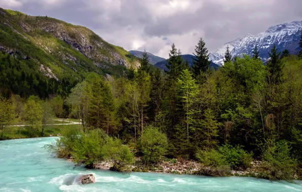 Лес, деревья, горы, река, камни, течение, Словения, Bovec