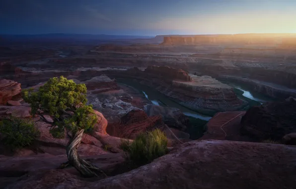 Картинка река, дерево, скалы, каньон, США