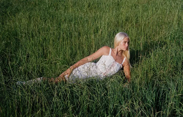 Картинка grass, dress, field, woman, beautiful, model, pretty, blonde