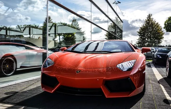 Картинка красный, отражение, здание, окна, red, lamborghini, передок, aventador