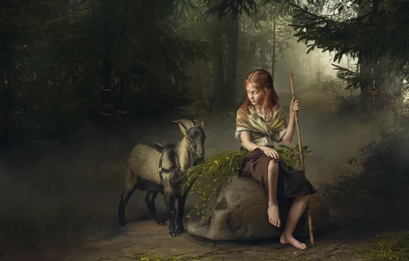 Картинка лес, камень, девочка, козёл