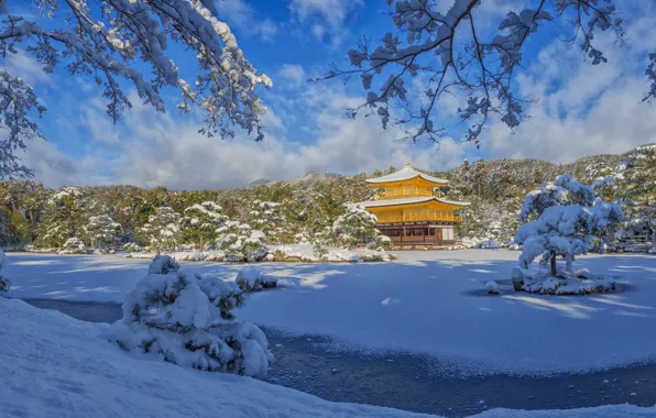 Картинка зима, снег, деревья, пейзаж, ветки, природа, парк, Япония