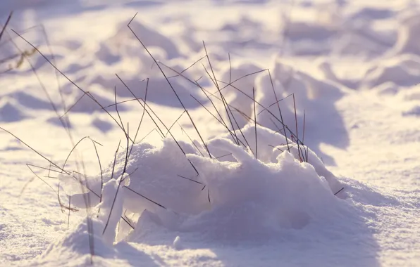 White, winter, snow, cold