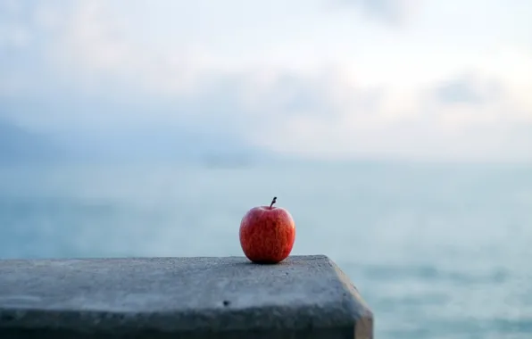 Картинка фон, яблоко, минимализм