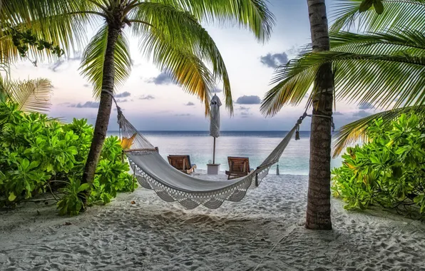 Картинка пляж, лето, пальмы, отдых, гамак, Мальдивы, курорт