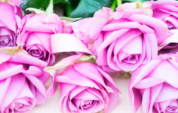 Картинка розы, букет, pink, flowers, roses, розовые розы