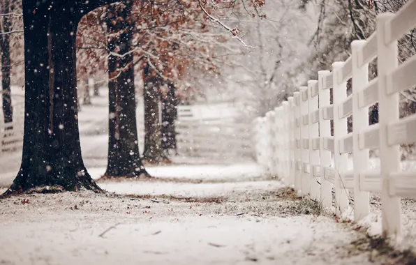 Картинка зима, улица, забор