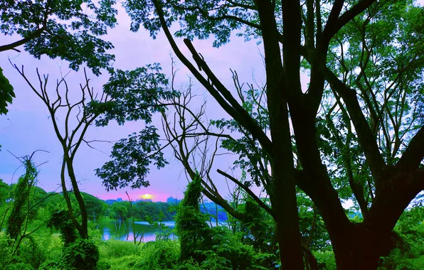 Картинка Sky, Sun, Water, Sunrise, Dawn, Morning, Lake, Trees