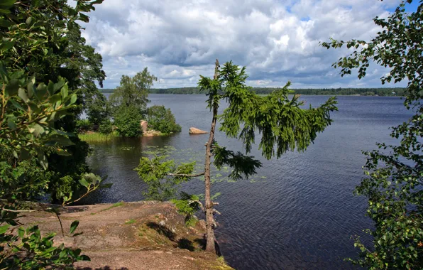 Солнце, облака, деревья, парк, река, камни, берег, залив
