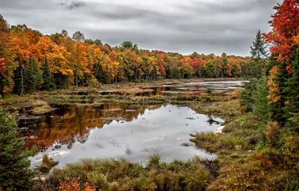 Ontario, Autumnal Reflections, Killbear Provincial Park