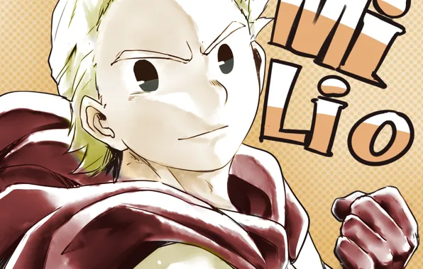 Взгляд, герой, парень, Boku no Hero Academia, Моя геройская акадеимя, Togata Mirio