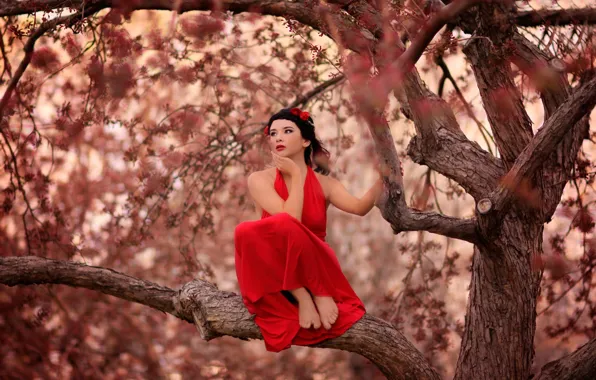 На дереве, девушка, красное платье