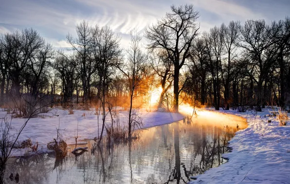 Картинка Солнце, Природа, Отражение, Деревья, Река, Снег, Ветки, Следы на Снегу