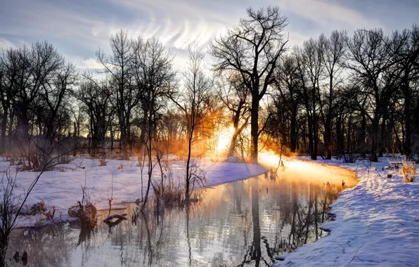 Солнце, Природа, Отражение, Деревья, Река, Снег, Ветки, Следы на Снегу