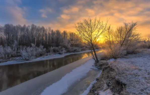 Картинка лед, зима, небо, деревья, река, рассвет, мороз, Aleksei Malygin