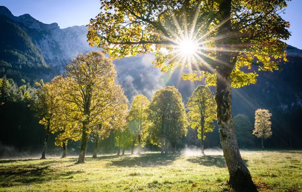Картинка солнце, лучи, деревья, пейзаж, горы, природа, Австрия, Альпы