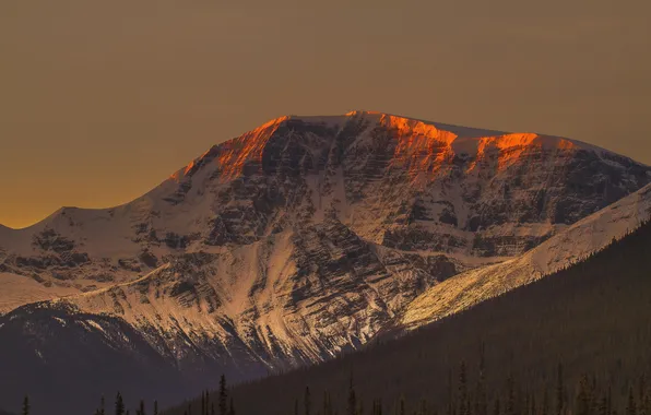 Лес, снег, горы, природа, вершины
