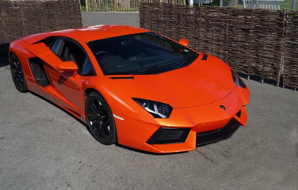 Картинка оранжевый, lamborghini, вид сверху, orange, aventador, lp700-4, ламборгини, авентадор