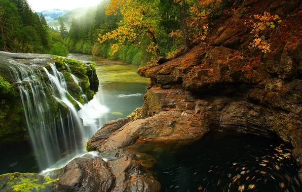 Картинка лес, природа, река, камни, фото, водопад, Вашингтон, США