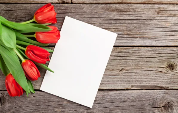 Букет, тюльпаны, red, wood, romantic, tulips