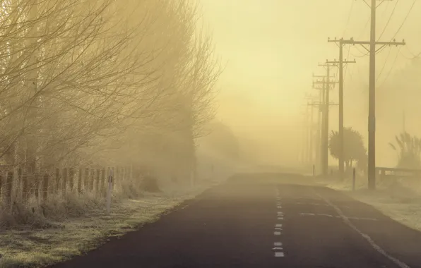 Картинка дорога, пейзаж, туман, утро