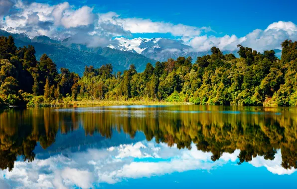 Картинка осень, лес, горы, озеро, Новая Зеландия