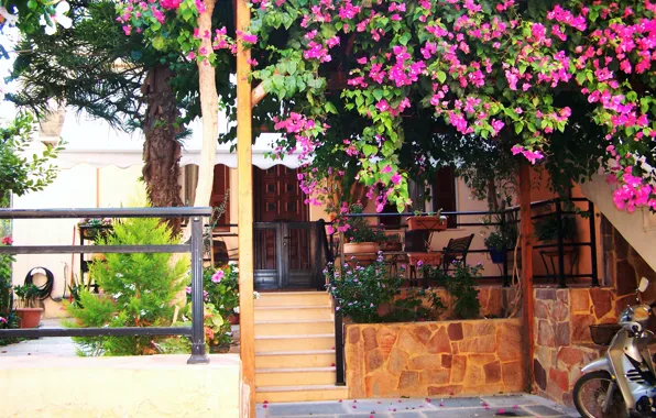 Природа, Дома, Nature, Houses, Цветущие деревья, Flowering trees