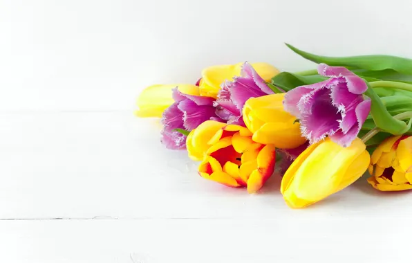 Картинка цветы, весна, colorful, тюльпаны, fresh, flowers, beautiful, tulips