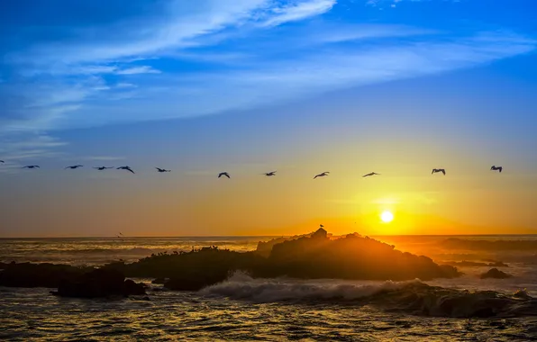 Картинка пляж, небо, закат, птицы, камень, горизонт