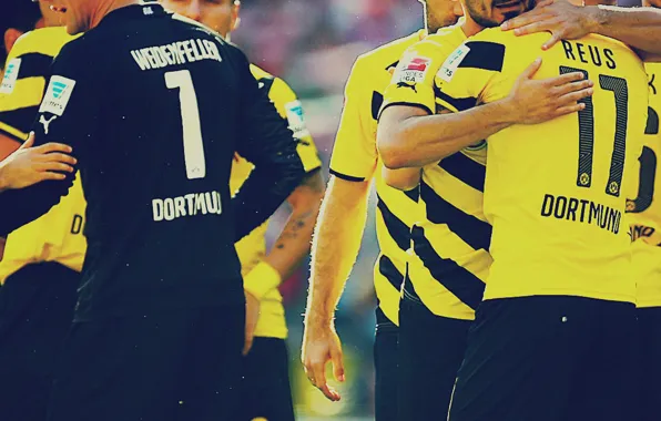 Wallpaper, sport, football, Borussia Dortmund, players