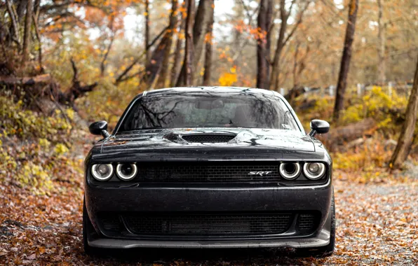 Dodge, Challenger, SRT, Face, Forest, Sight