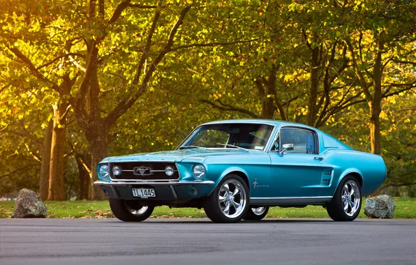 Картинка Mustang, Ford, 1967, Fastback