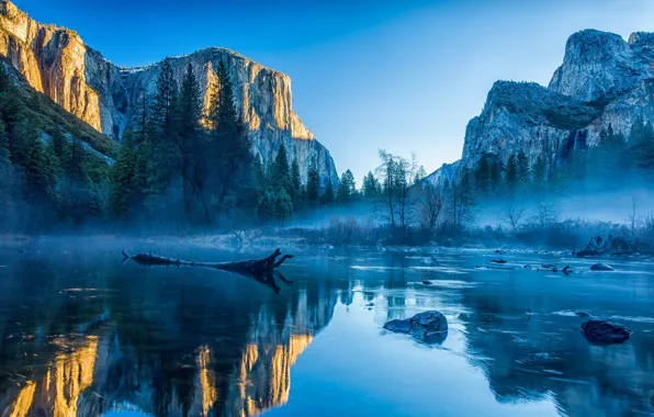 Картинка forest, Landscape, sky, trees, nature, mountains, lake, rocks