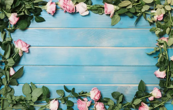 Картинка розы, colorful, summer, розовые, wood, blue, pink, flowers