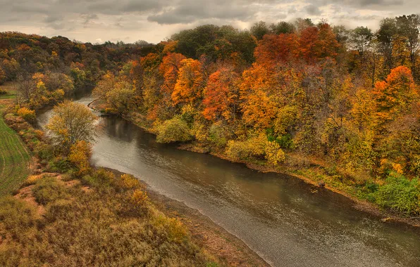 Картинка осень, лес, небо, тучи, река