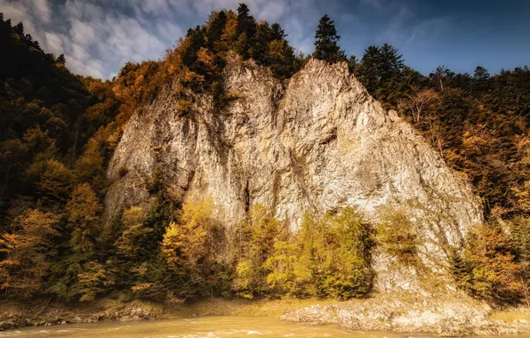 Картинка осень, река, гора