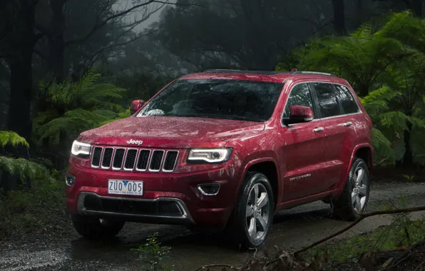 Car, jeep, gran cheroki