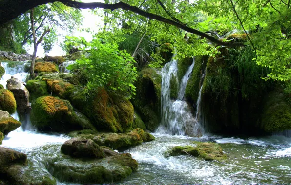 Картинка зелень, листья, ветки, камни, мох, Хорватия, Водопады, Плитвицкие озера