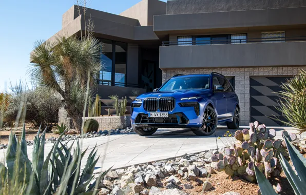 BMW, House, Blue, Front, Side, Road, xDrive, 2022