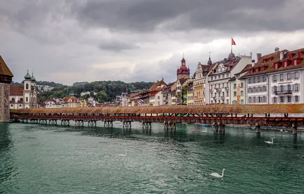 Мост, река, здания, башня, Швейцария, лебеди, Switzerland, Люцерн