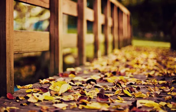 Осень, фото, листва, деревянный, мостик