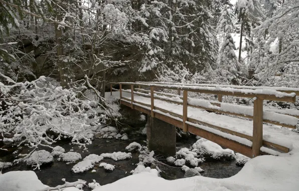 Картинка зима, лес, снег, Природа, мороз, forest, мостик, nature