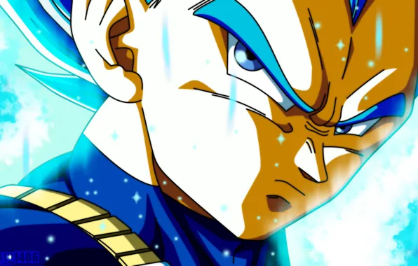 Vegeta, Dragon ball, super saiyan blue, Dragon Ball Supuer, dragon ball super