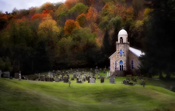 Картинка поле, осень, лес, трава, деревья, могилы, листва, церковь