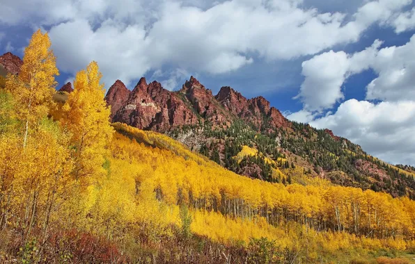 Картинка осень, лес, деревья, горы, Колорадо, Colorado, Maroon Bells, Sievers Mountain