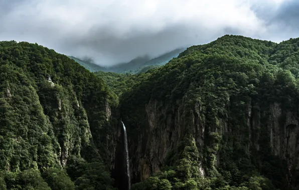 Картинка зелень, лес, небо, деревья, природа, водопад