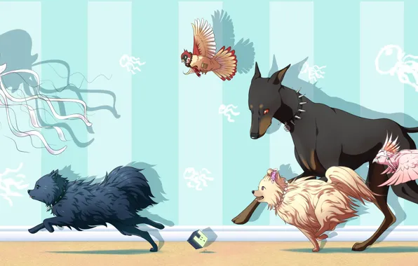 Jellyfish, Parrot, DRAMAtical Murder, Doberman, Beni (DMMd), Usagimodoki, Ren (DMMd), Maltese