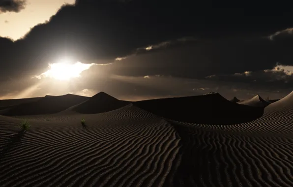 Картинка трава, облака, закат, следы, природа, пустыня, арт, дюны