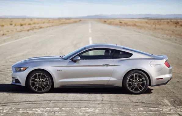 Ford, 2014, nustang